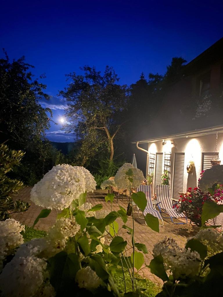 Ferienwohnungen Elsterblick Bad Elster Exterior photo